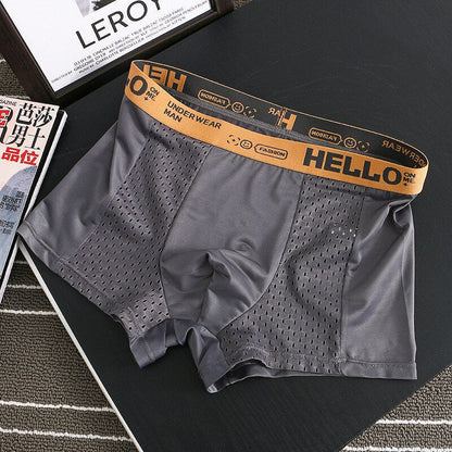 Mesh Boxer